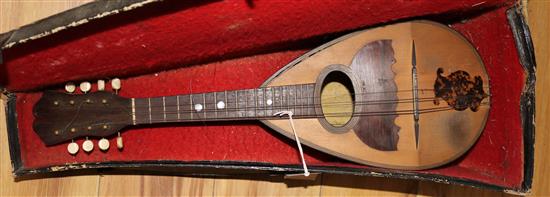 Cased mandolin